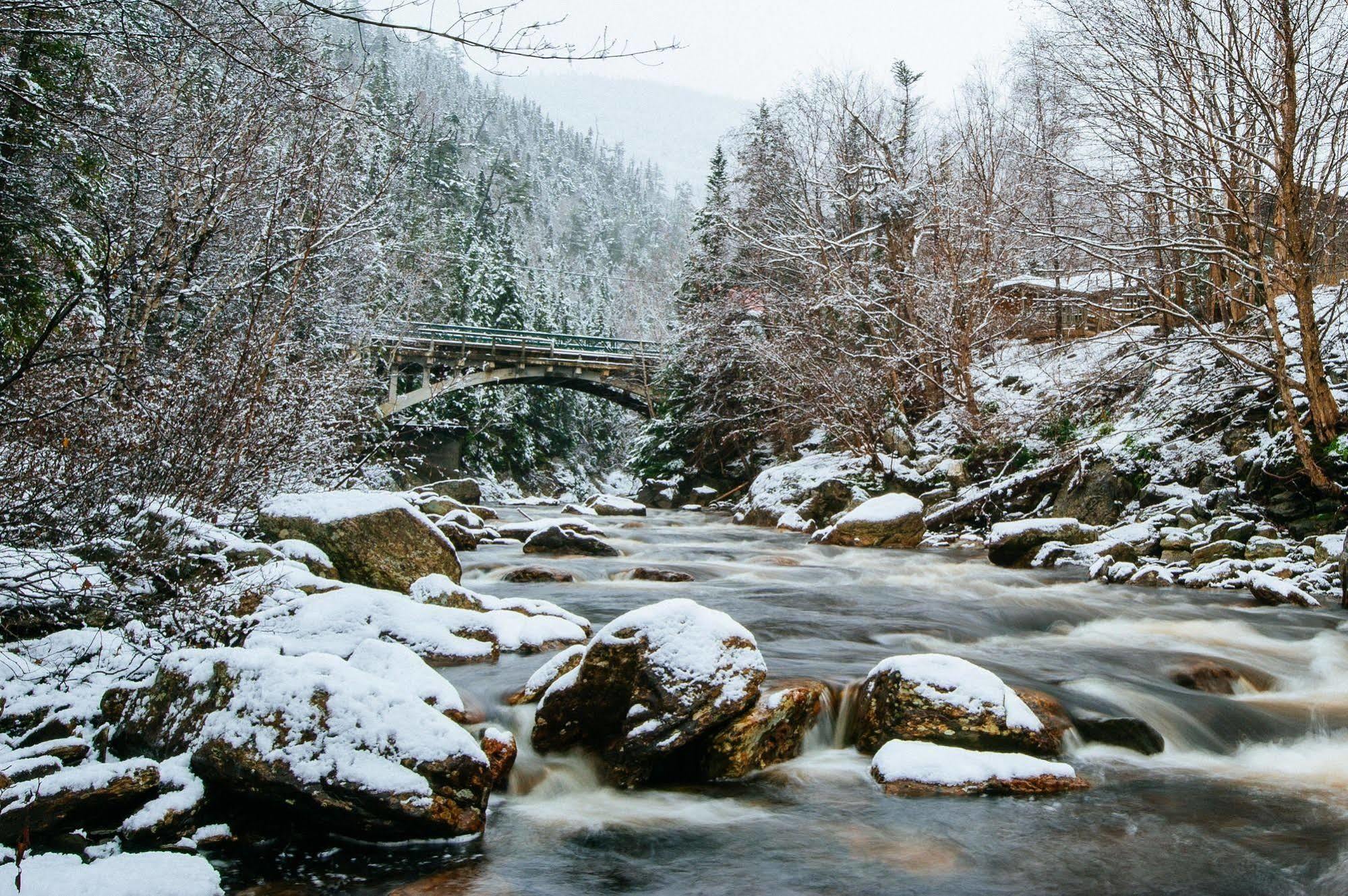Marblewood Village Resort Steady Brook Eksteriør bilde